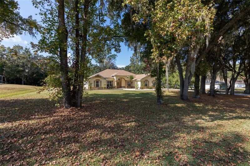 Oak canopy, house beyond