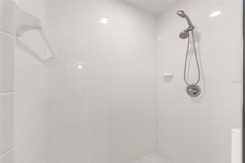 Primary walk-in shower