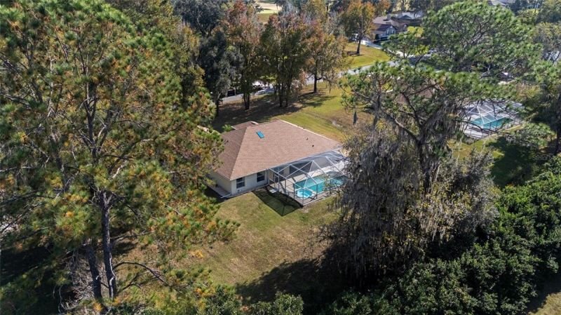 Aerial oblique, oaks